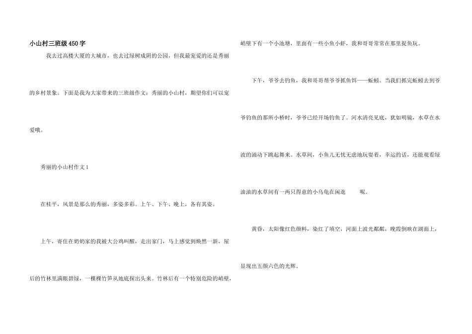 小山村三年级450字_第1页