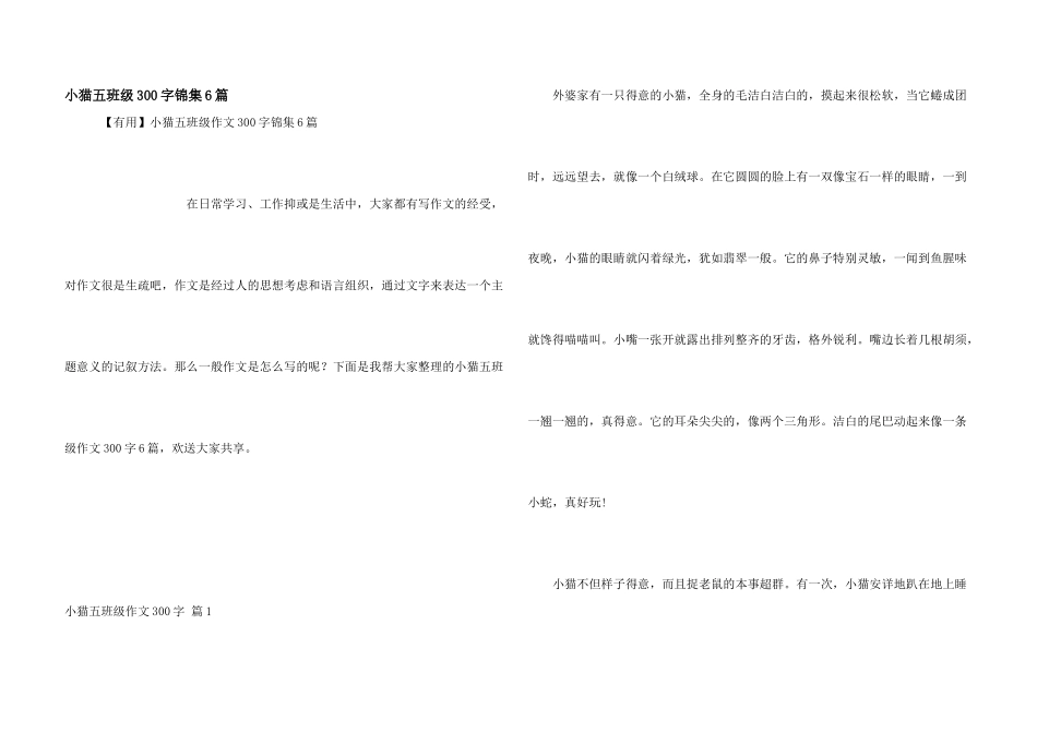小猫五年级300字锦集6篇_第1页