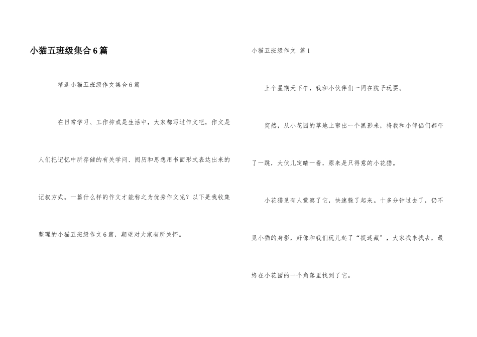 小猫五年级集合6篇_第1页