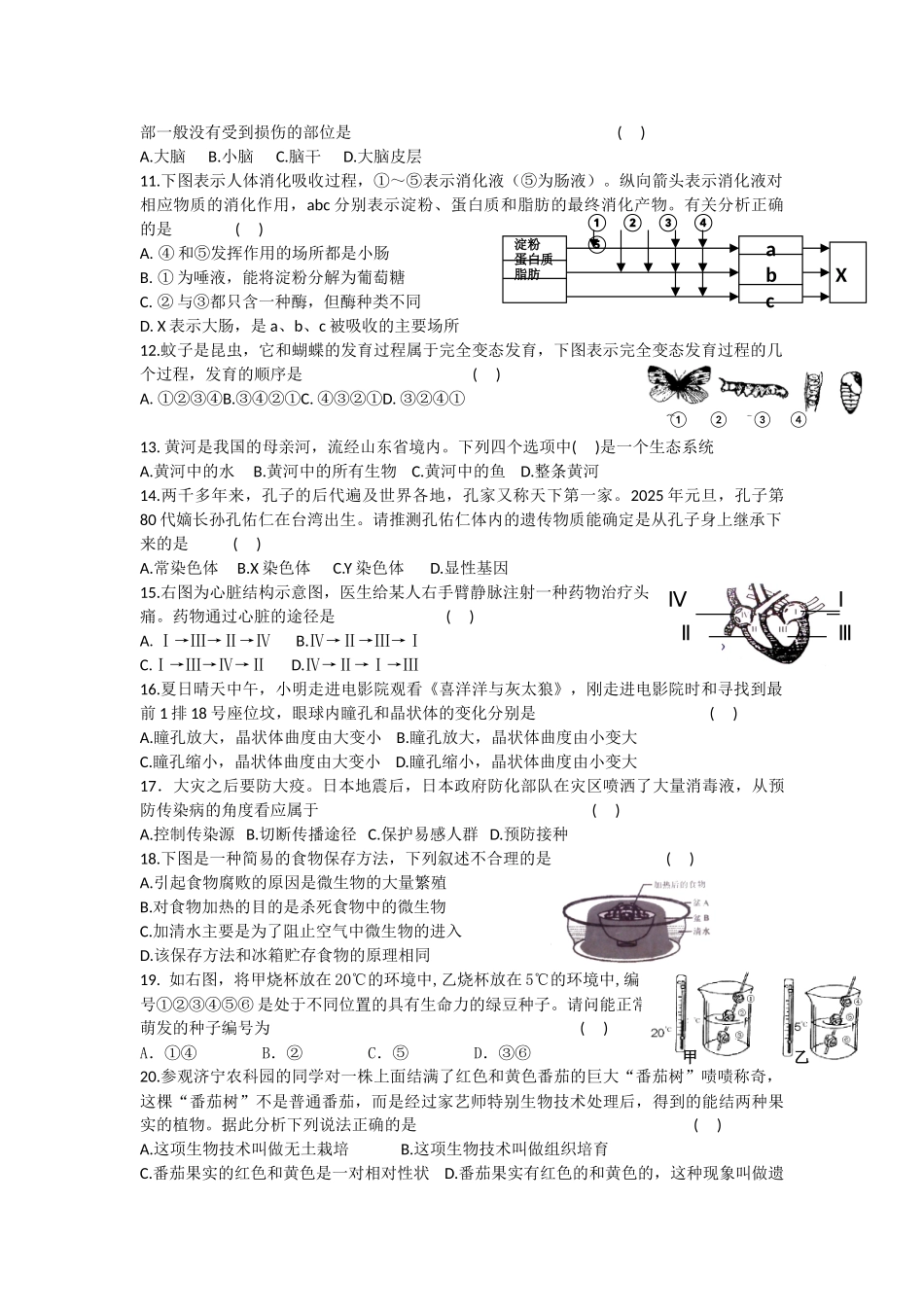 山东省曲阜市普通高中2025-2025学年高二学业水平模拟测试生物试题-二_第2页