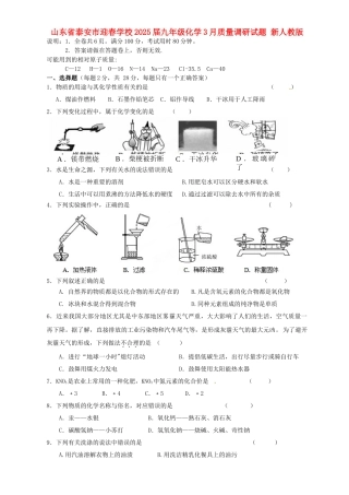 山东省泰安市2025届九年级化学3月质量调研试题-新人教版