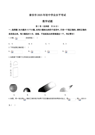 山东省泰安市2025年中考数学试卷及答案