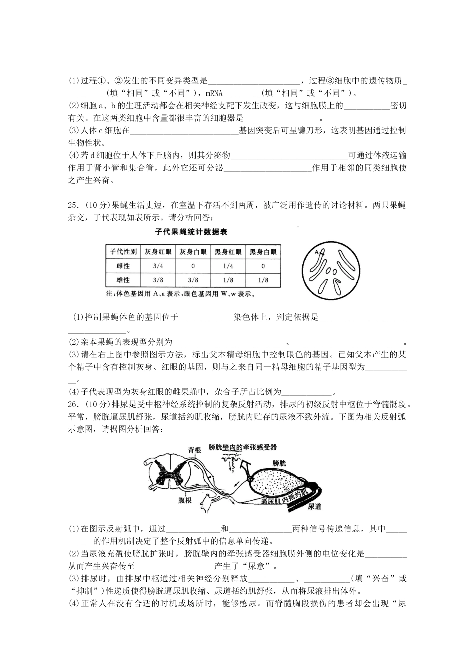 山东省潍坊市教研室2025届高考理综仿真试题新人教版_第3页