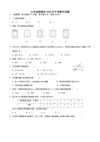 山东聊城中考数学模拟试卷及答案