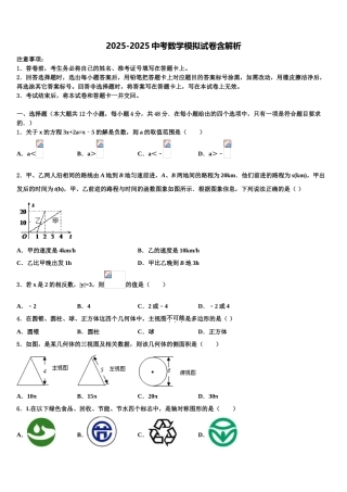 山南市中考联考数学试卷含解析