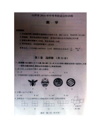 山西省4月中考考前适应性训练数学及答案