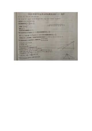 岳阳市初中毕业学业考试摸拟试卷数学答案