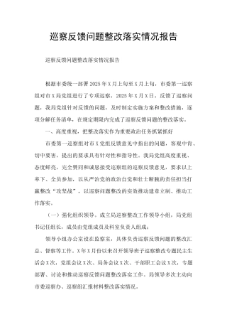 巡察反馈问题整改落实情况报告