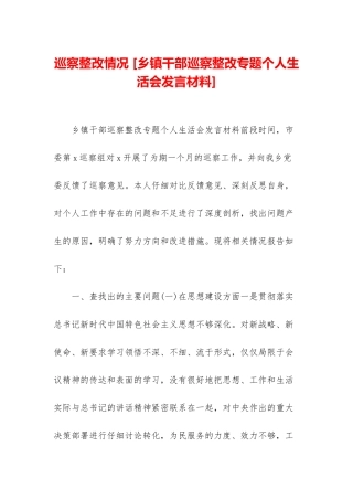 巡察整改情况-