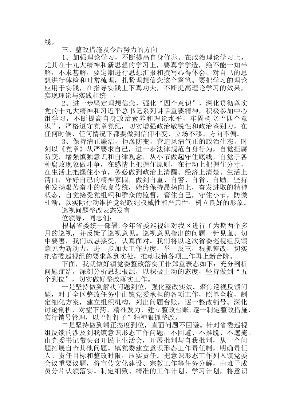 巡视问题整改表态发言_第2页