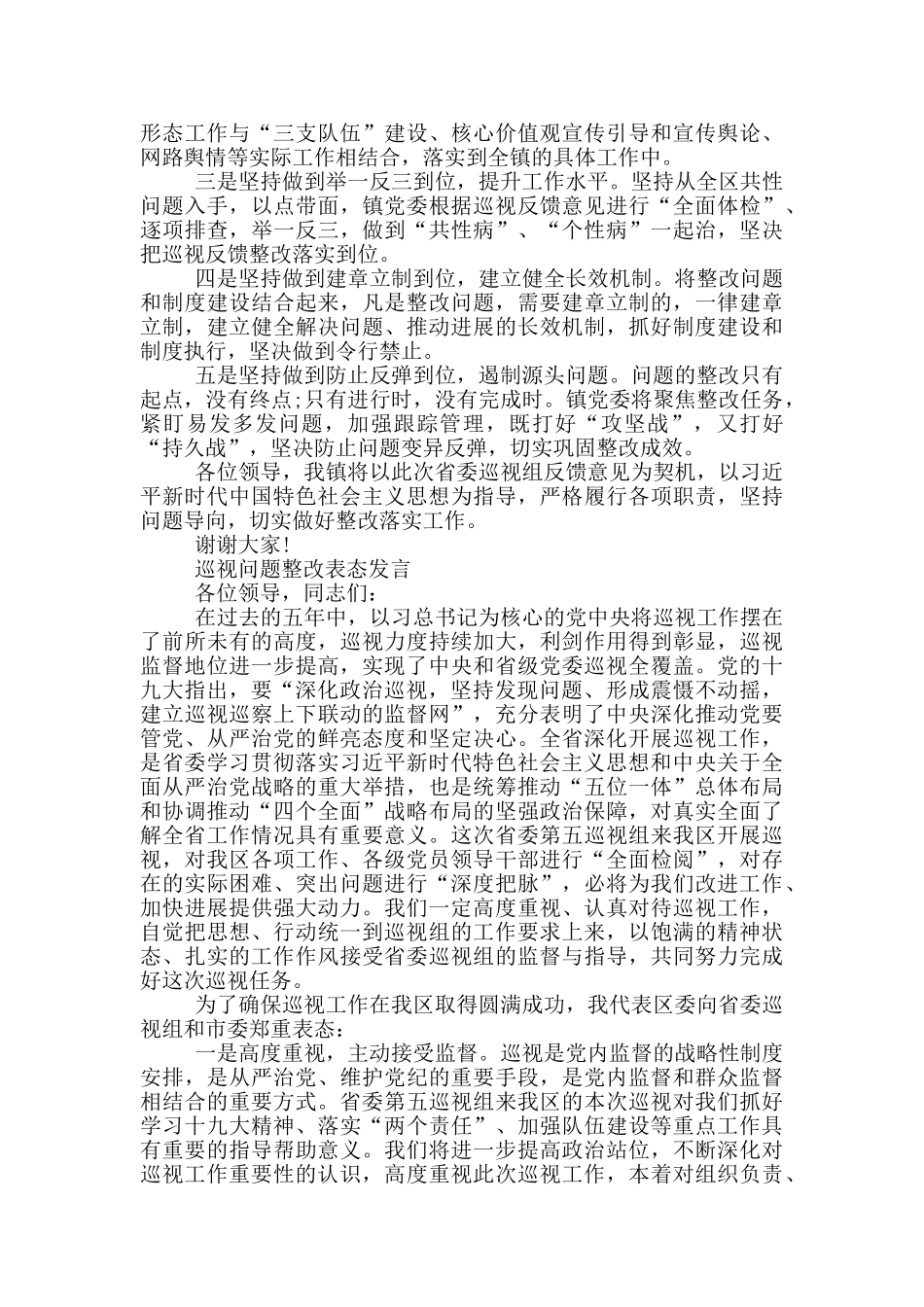 巡视问题整改表态发言_第3页