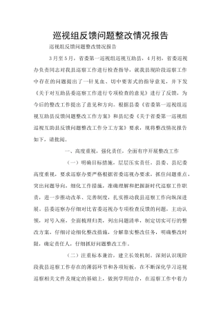 巡视组反馈问题整改情况报告