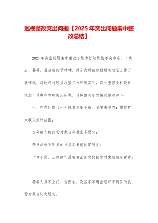 巡视整改突出问题