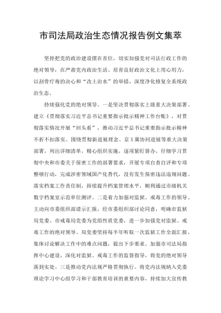 市司法局政治生态情况报告例文集萃