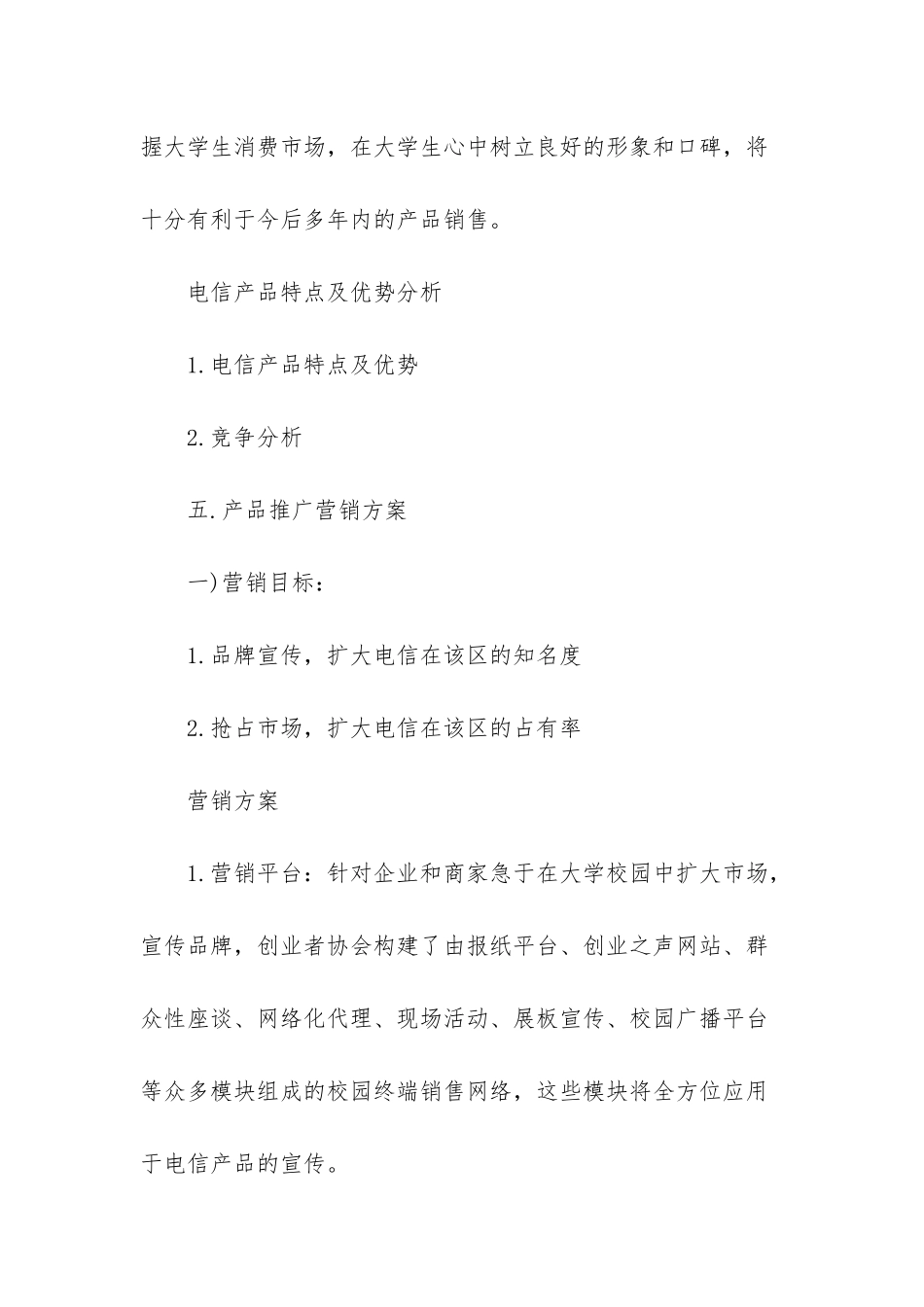 市场营销方案策划书_第3页