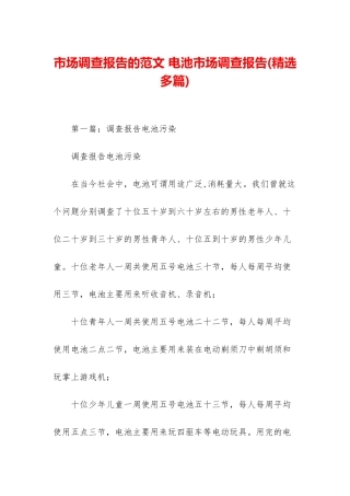 市场调查报告的范文-电池市场调查报告
