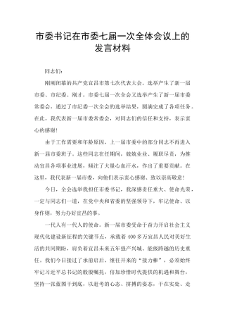 市委书记在市委七届一次全体会议上的发言材料