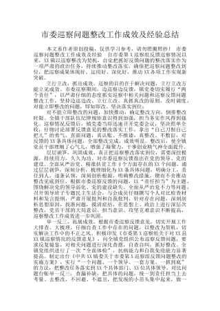 市委巡察问题整改工作成效及经验总结