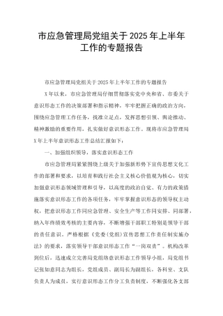 市应急管理局党组关于2025年上半年工作的专题报告