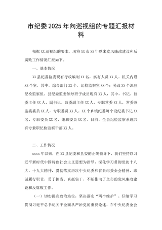 市纪委2025年向巡视组的专题汇报材料