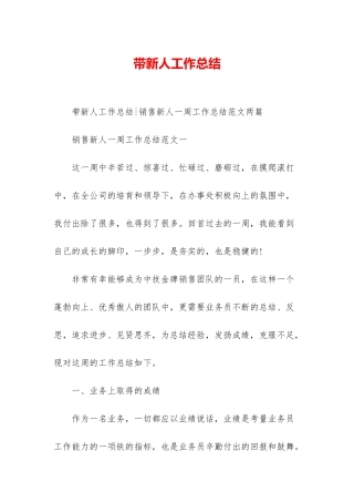 带新人工作总结