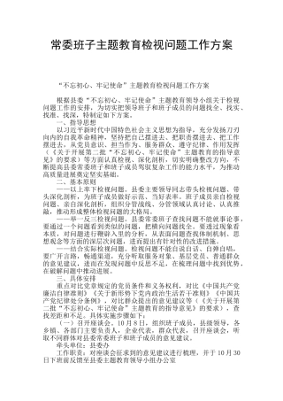 常委班子主题教育检视问题工作方案