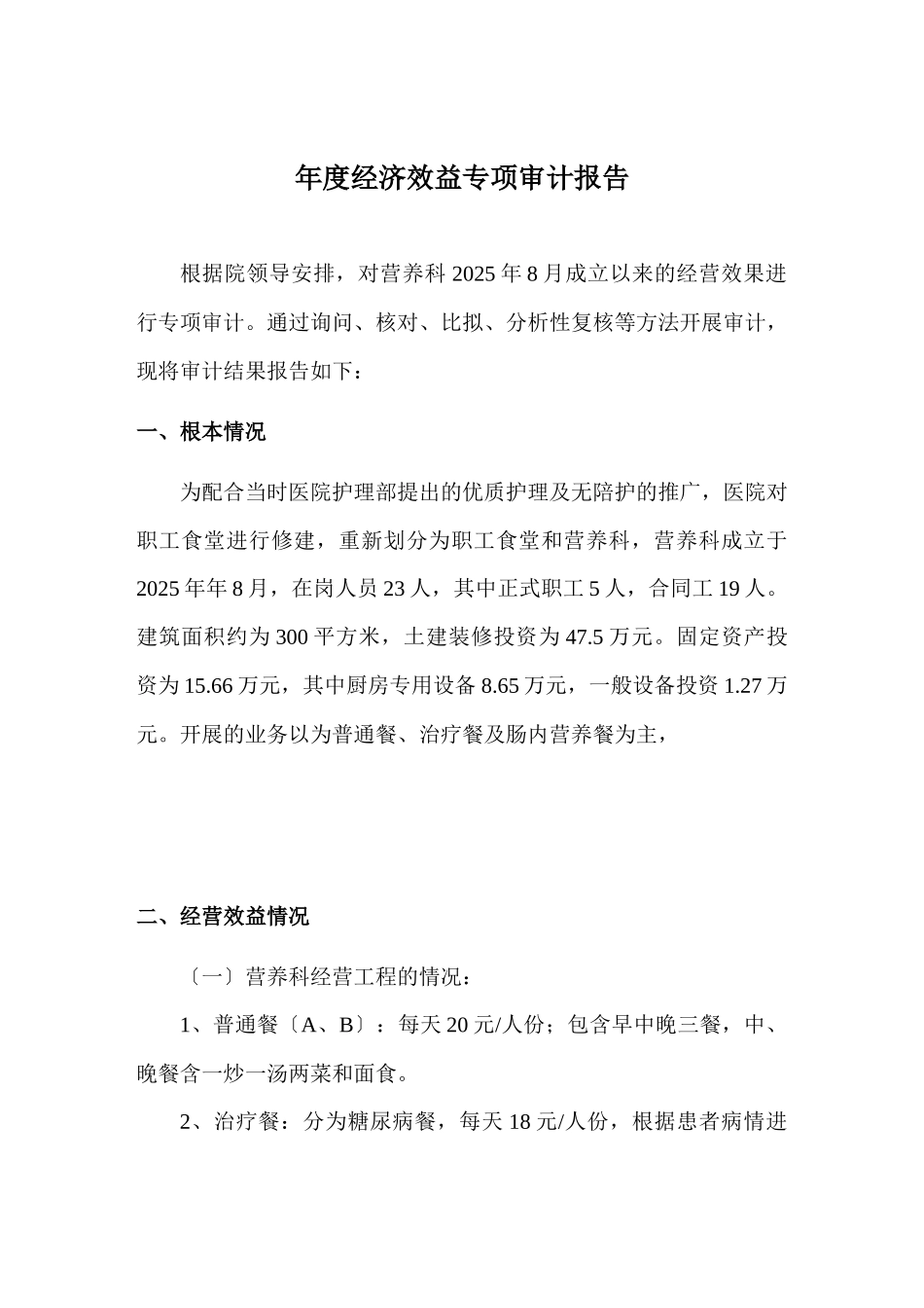 年度经济效益审计报告_第1页
