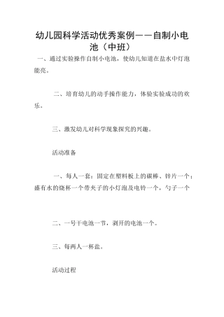 幼儿园科学活动优秀案例――自制小电池