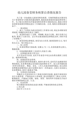 幼儿园食堂财务核算自查情况报告