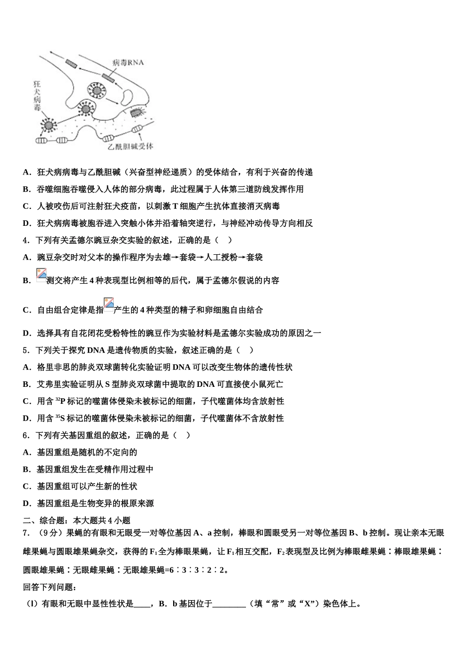 广东2025年深圳市翠园中学高考生物必刷试卷含解析_第2页