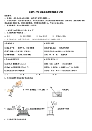 广东2025年湛江二中学港城中学中考化学模试卷含解析