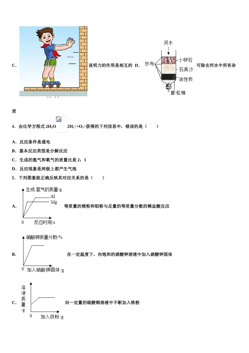 广东实验中学毕业升学考试模拟卷化学卷含解析_第2页