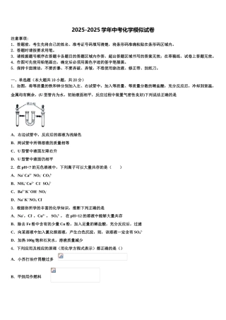 广东惠州市惠阳区达标名校中考试题猜想化学试卷含解析
