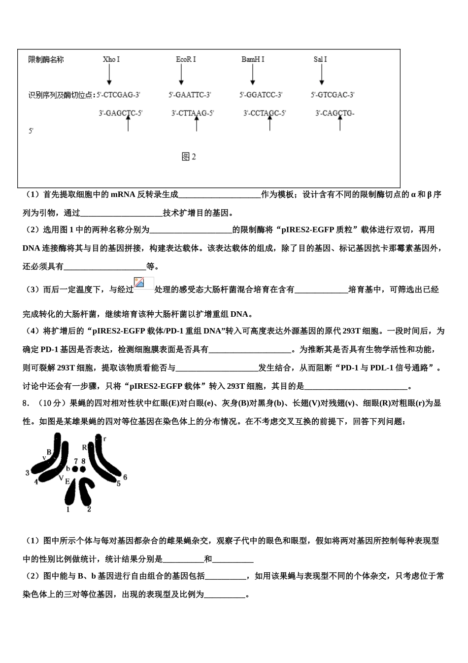 广东普宁华侨中学高三3月份第一次模拟考试生物试卷含解析_第3页