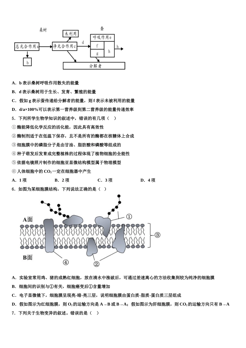 广东省-北京师范大学东莞石竹附属学校高三第六次模拟考试生物试卷含解析_第2页