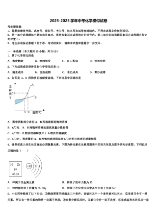 广东省2025年深圳市光明区重点中学中考化学考前最后一卷含解析