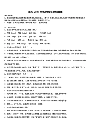 广东省2025年深圳市光明新区中考一模语文试题含解析