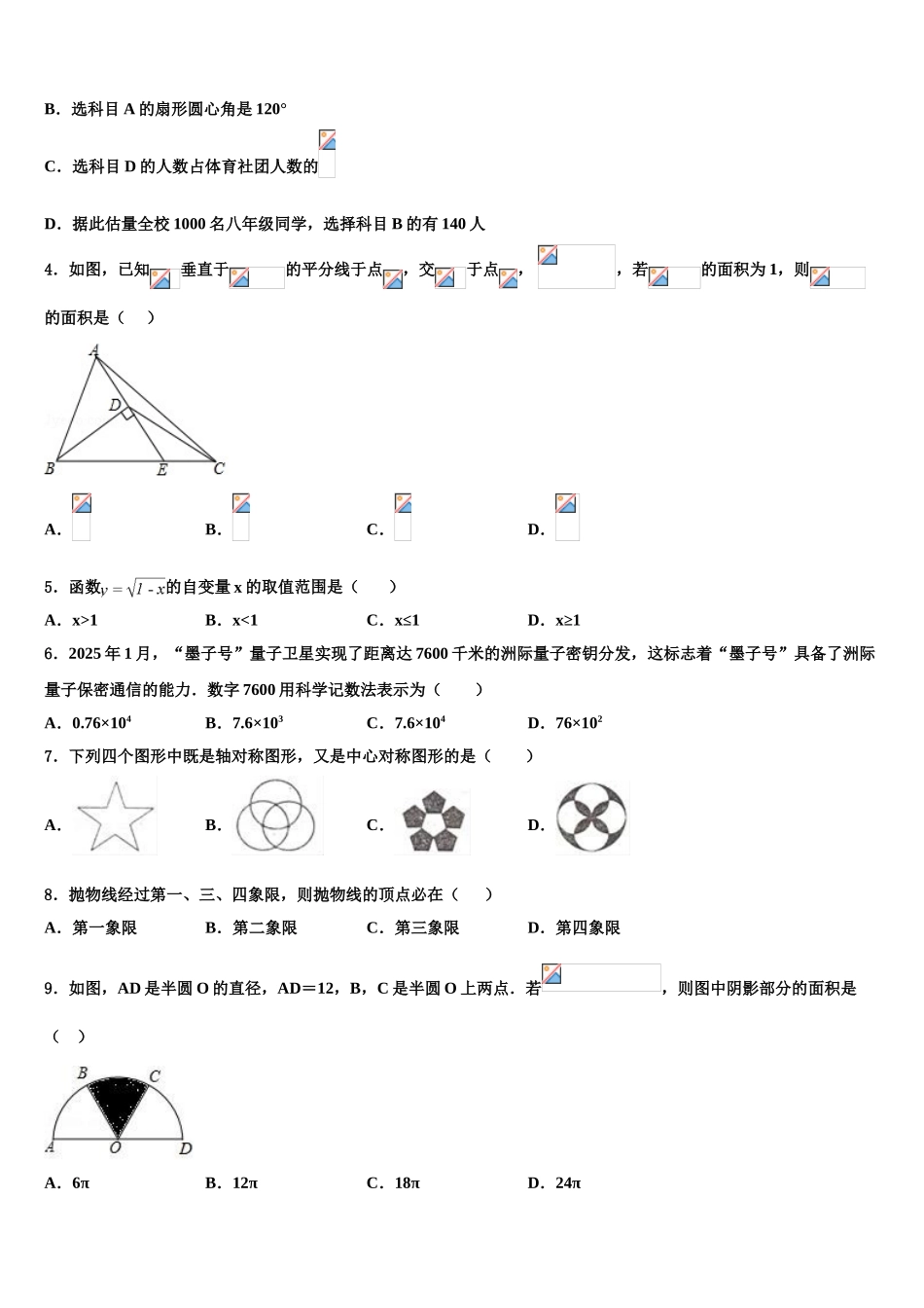 广东省2025年深圳市北大附中2025年深圳南山分校中考适应性考试数学试题含解析_第2页
