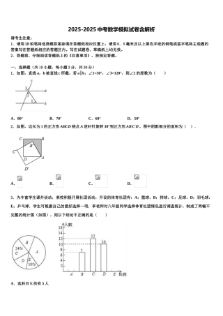 广东省2025年深圳市北大附中2025年深圳南山分校中考适应性考试数学试题含解析