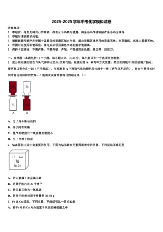 广东省2025年深圳市南山区南山实验校中考化学猜题卷含解析