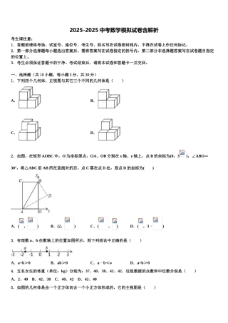 广东省2025年深圳市南山外国语校中考数学全真模拟试题含解析