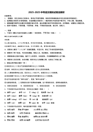 广东省2025年深圳市宝安、罗湖、福田、龙华四区重点达标名校中考语文适应性模拟试题含解析