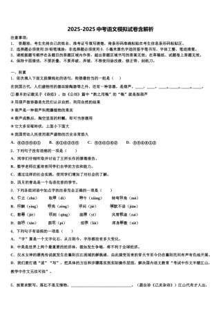 广东省2025年深圳市宝安区中考语文对点突破模拟试卷含解析
