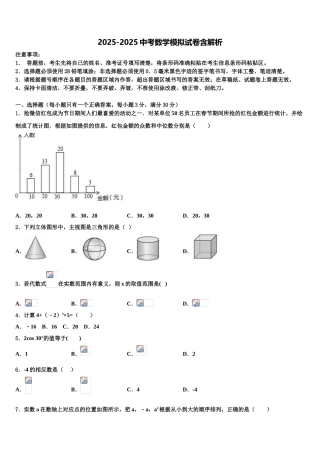 广东省2025年深圳市宝山区重点名校初中数学毕业考试模拟冲刺卷含解析