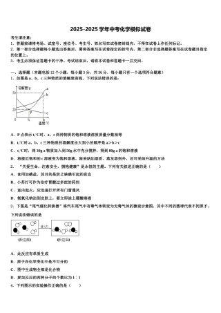 广东省2025年深圳市百合外国语校十校联考最后化学试题含解析