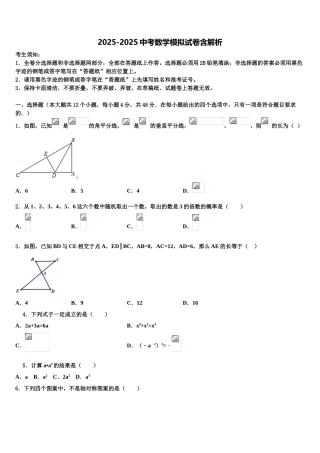 广东省2025年深圳市盐田区中考数学全真模拟试卷含解析