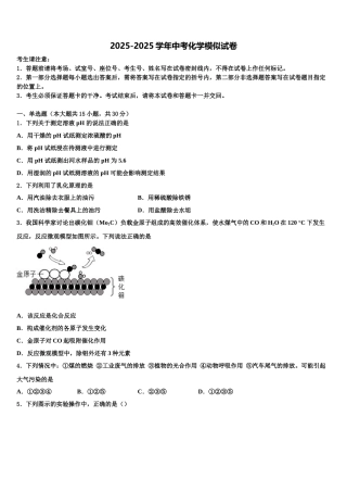 广东省2025年深圳市石厦校中考化学全真模拟试题含解析