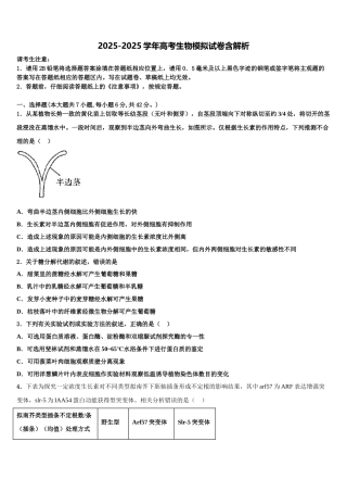 广东省2025年深圳市福田区耀华实验学校高考冲刺模拟生物试题含解析