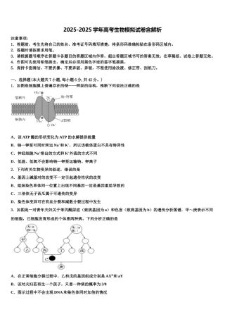 广东省2025年深圳市翻身实验学校高考生物倒计时模拟卷含解析