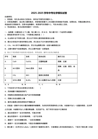 广东省2025年深圳市育才一中学中考考前最后一卷化学试卷含解析